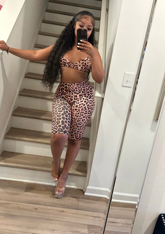 Untamed Set